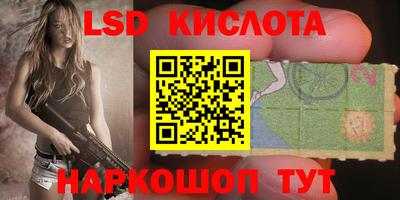 гидропоника Дубна