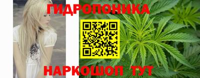 spice Донской