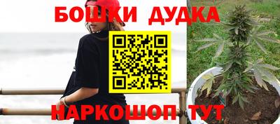 гидропоника Дубна